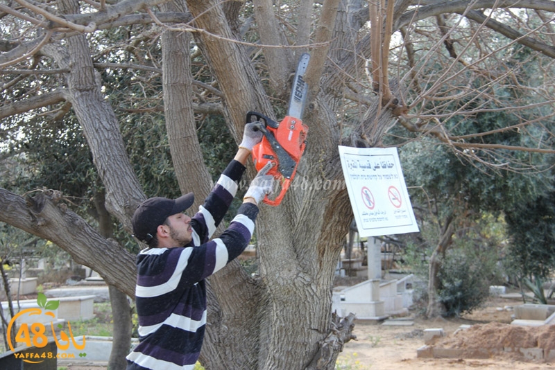 taso maqbfra (7).JPG